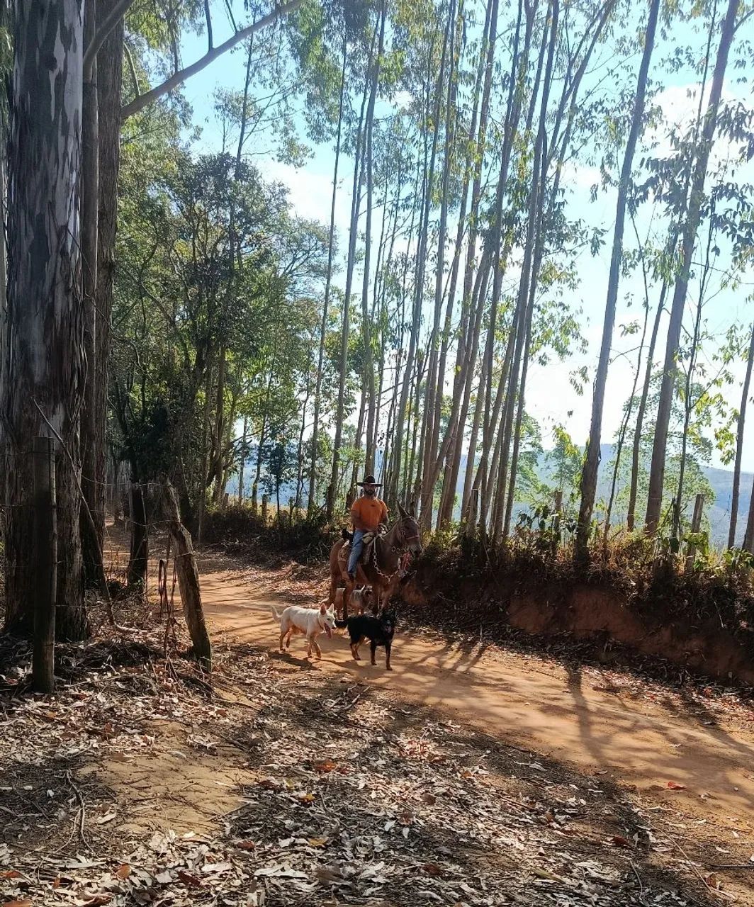 Vende se - Foto 2