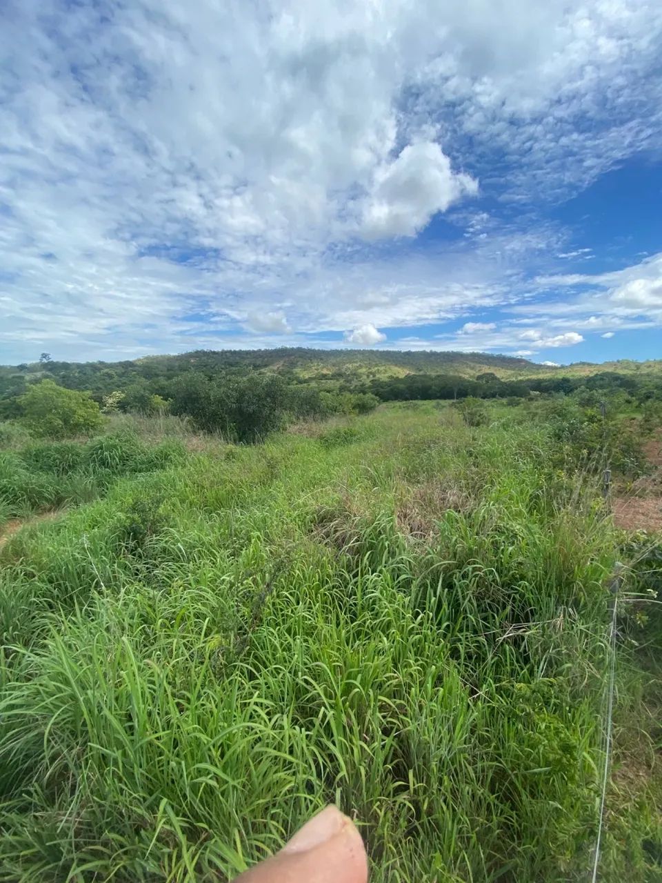 Fazenda 48 hectares  - Foto 4