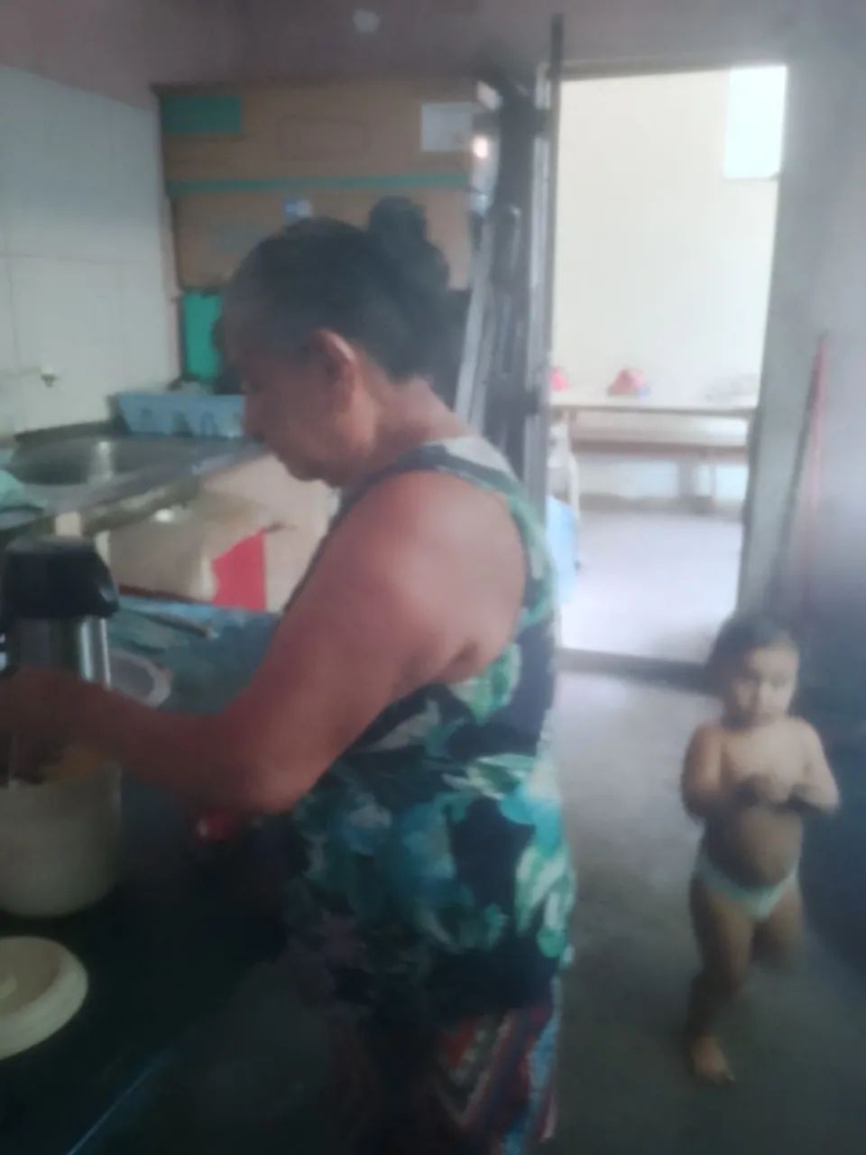 Dedetização wf