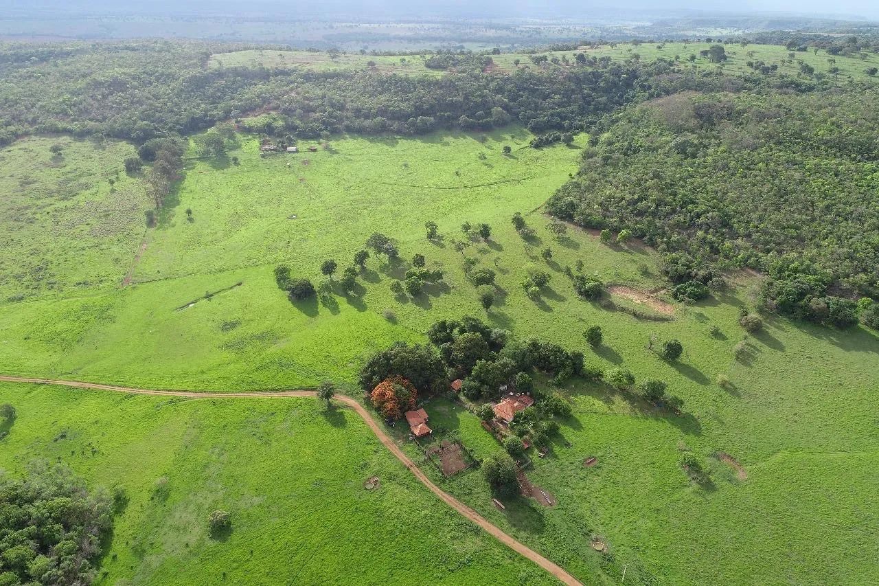 Fazenda 100 hectares Campina verde  - Foto 2
