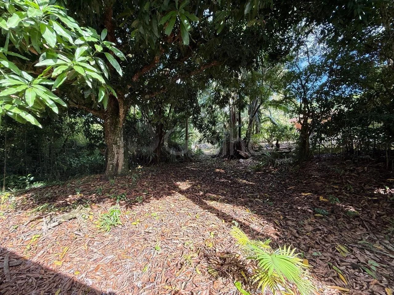 Terreno de 12.804,83m² no Monte Verde - Foto 3
