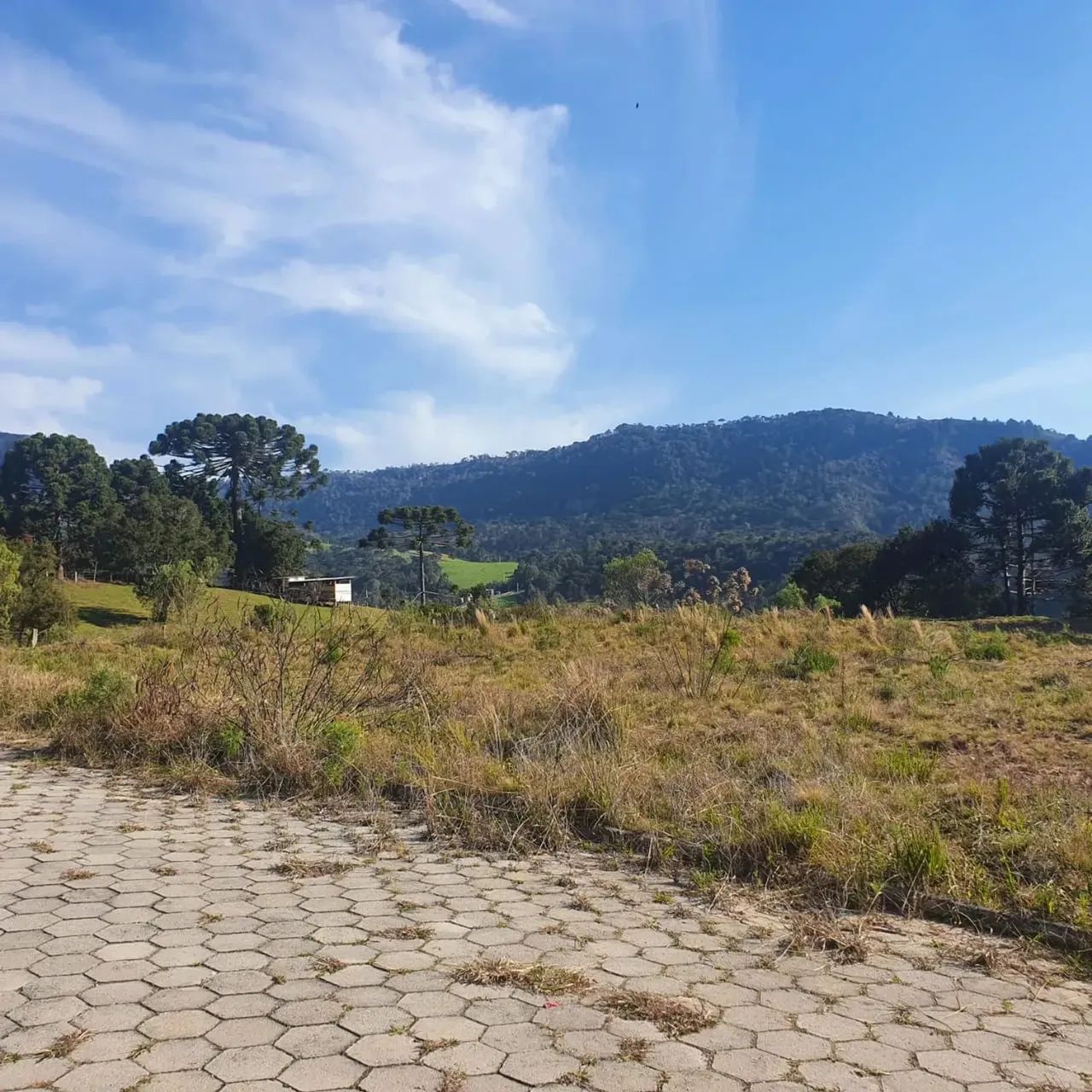 Loteamento no Centro de Urubici - SC - Foto 10