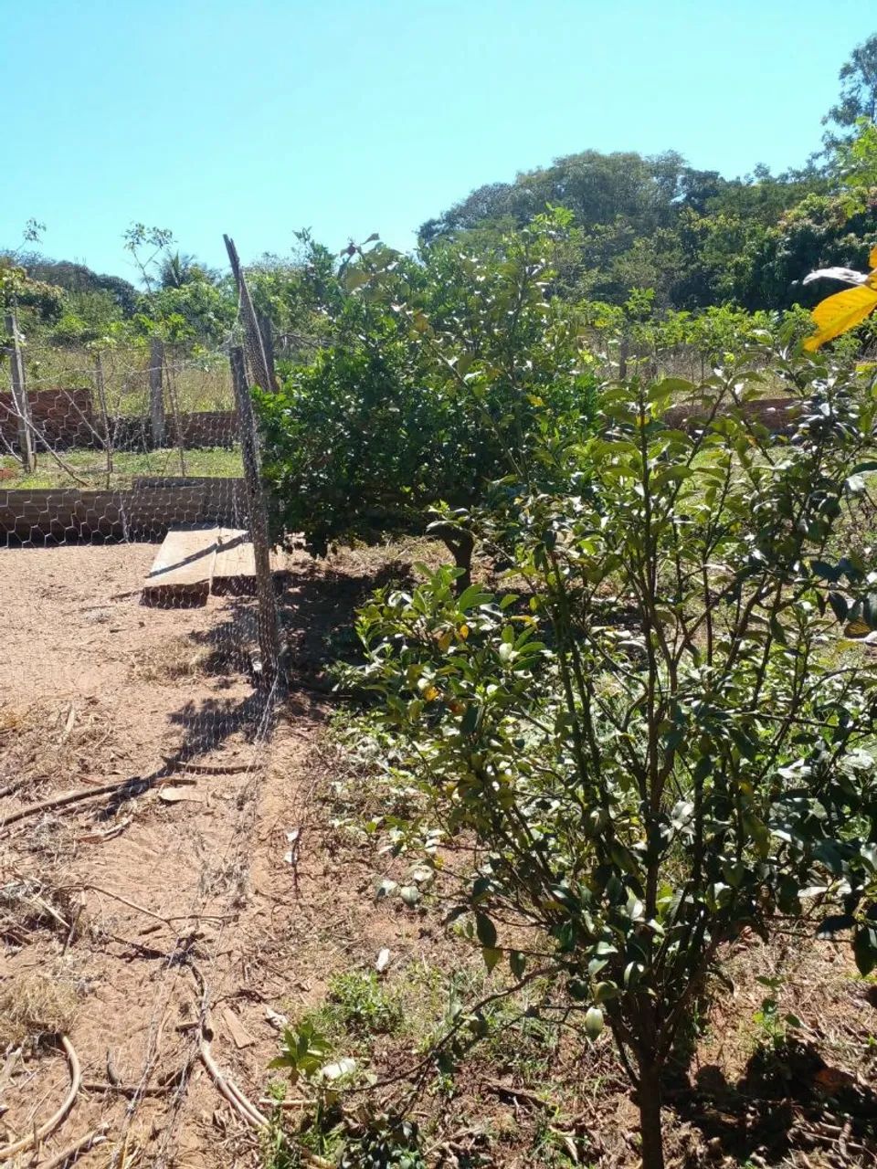 Chácara venda - Foto 4