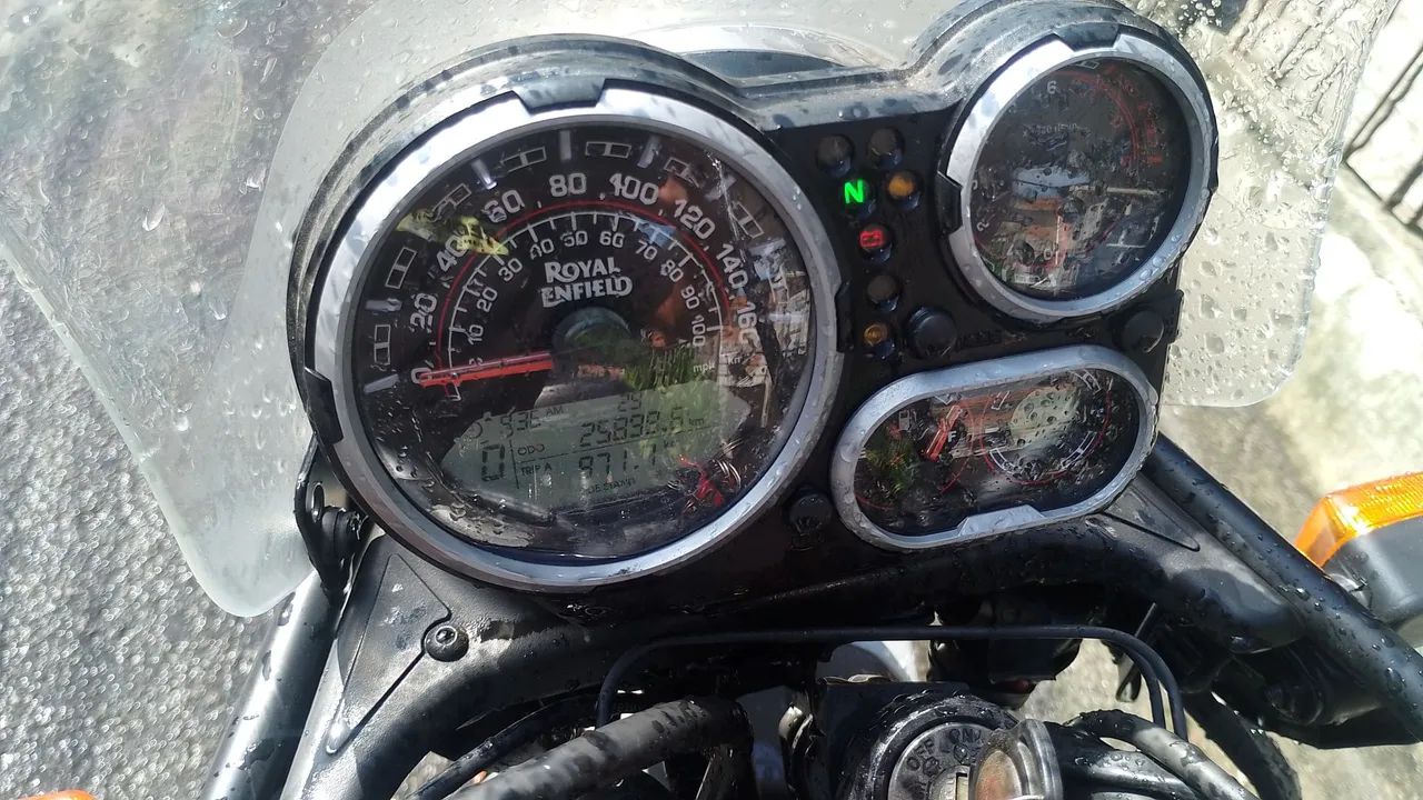 Royal himalayan  - Foto 5