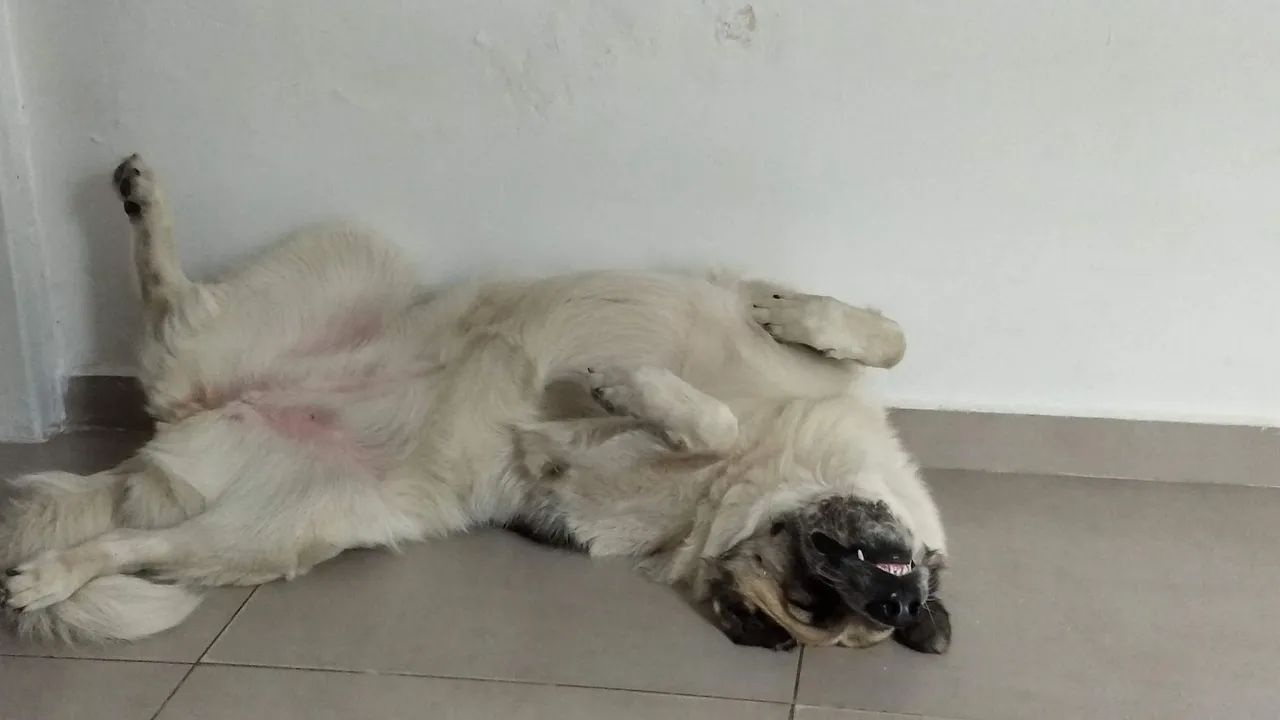 Doação consciente  - Foto 5