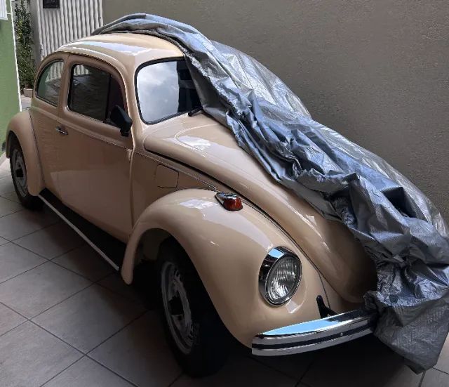Volkswagen Fusca Fusca (gasolina) 1979