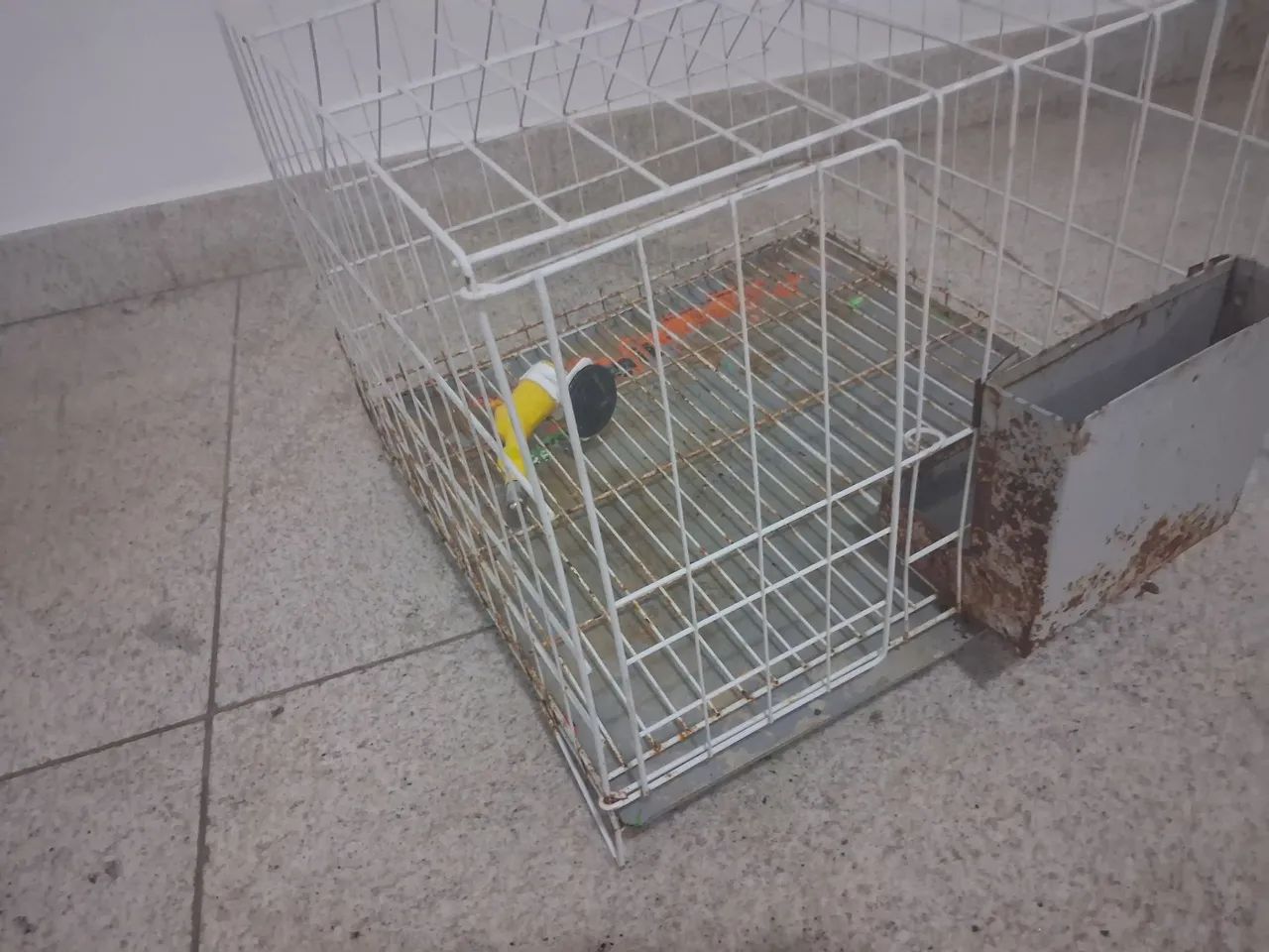 Gaiola para coelho - Foto 2