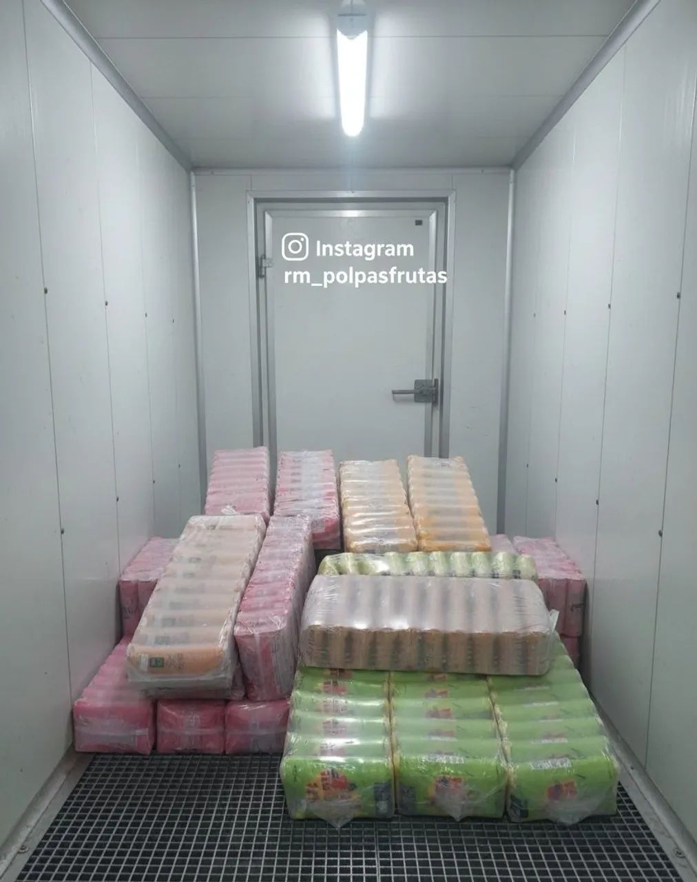 Polpas de Frutas - Atacado - Foto 3