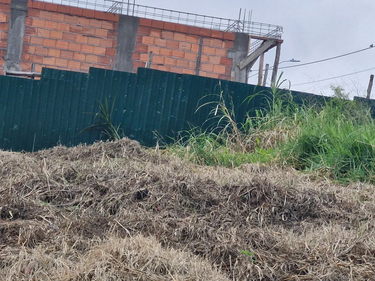 Tapume  - Foto 4