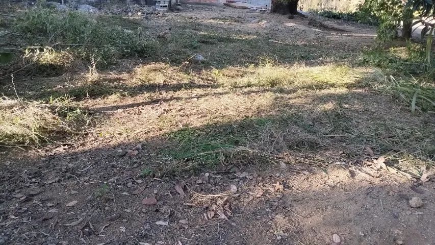 Terreno 500 metros - Foto 5