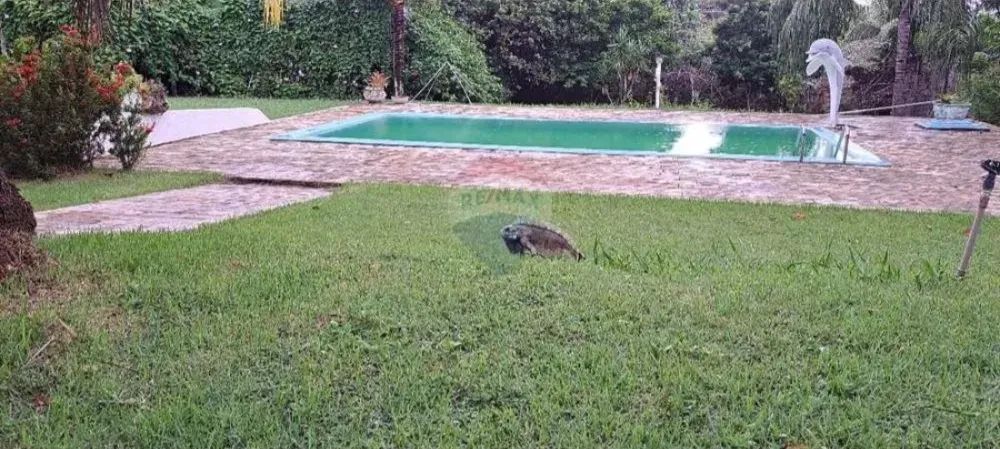 Oportunidade!! Chácara em Pium  6.000M² - Foto 3
