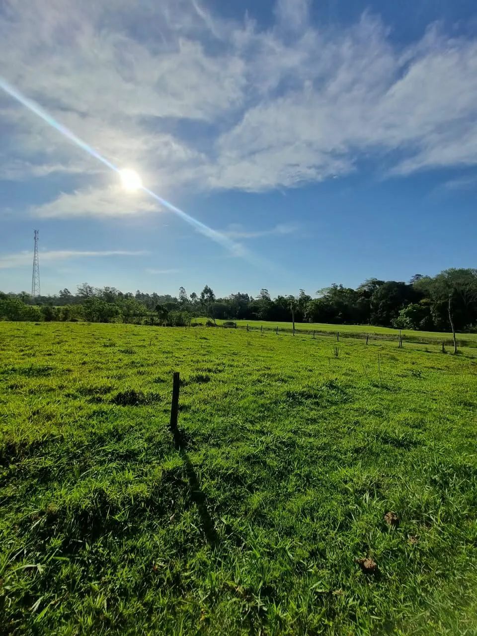 SÍTIO - Bairro Nossa Senhora de Fátima, Içara/SC - Foto 4