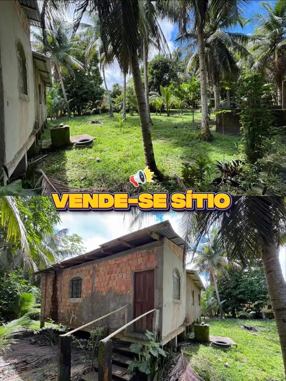Vende - se sítio na Br174 - Foto 5