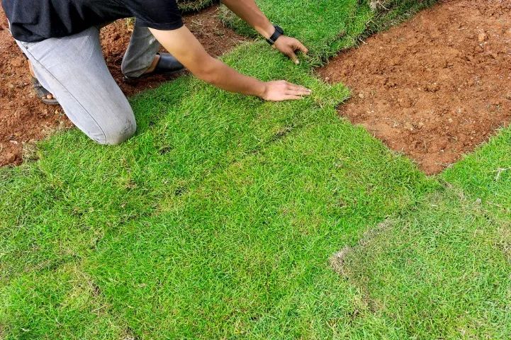 Manutenção em grama, Corte e Plantio