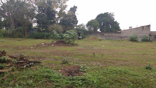 Ter. 16x30 m, V. Cauduro-Boi Morto -Sta. Maria-10001 - Foto 2