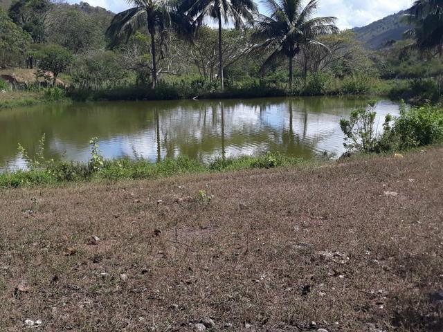 Fazenda Almadina - Foto 3