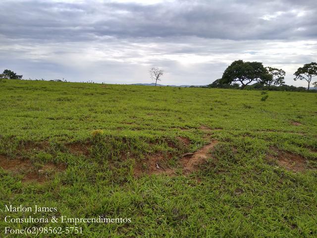 Fazenda em Americano do Brasil! - Foto 3