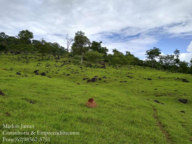 Fazenda em Americano do Brasil-Go! - Foto 13
