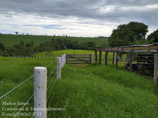 Fazenda em Americano do Brasil! - Foto 14