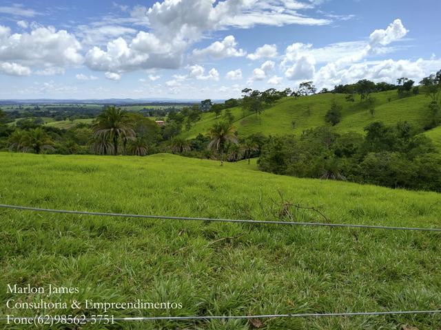 Fazenda em Americano do Brasil-Go! - Foto 6
