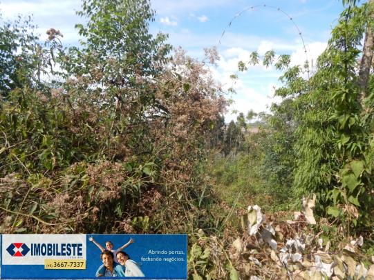 Terreno à venda em Lustosa arroio grande, Ipiranga cod:10330.1860 - Foto 6