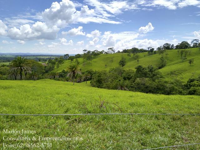 Fazenda em Americano do Brasil-Go! - Foto 8