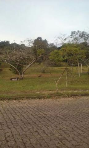 Terreno à venda em Ipanema, Porto alegre cod:MI15176 - Foto 2