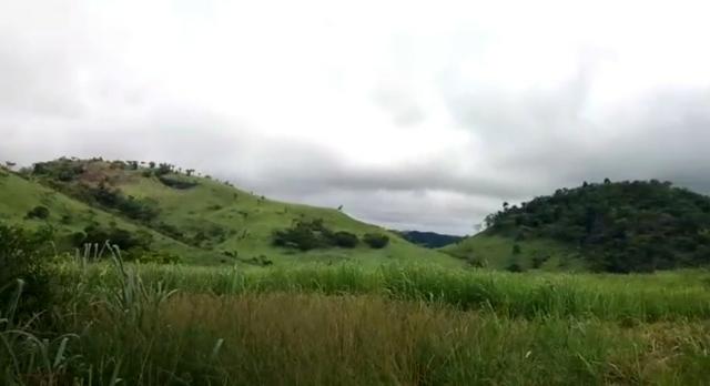 Propriedade de 140 hectares, entre Vitória e Escada-PE. - Foto 10