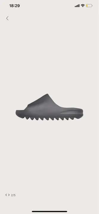 Yeezy Slide 42/43 