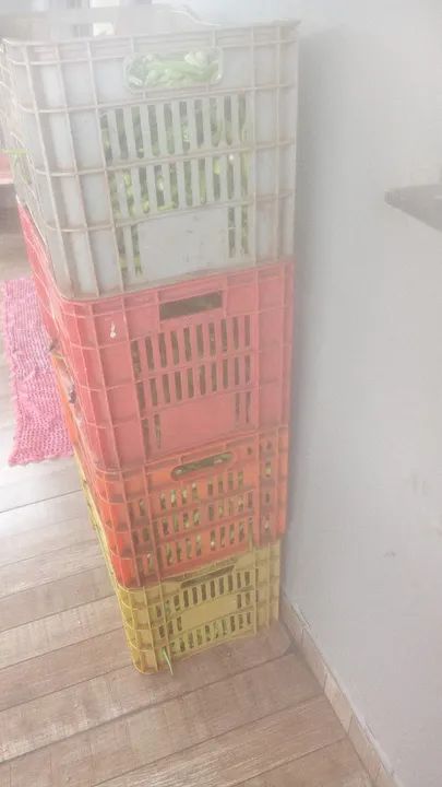 Quiabo direto roca fresquinho - Foto 2