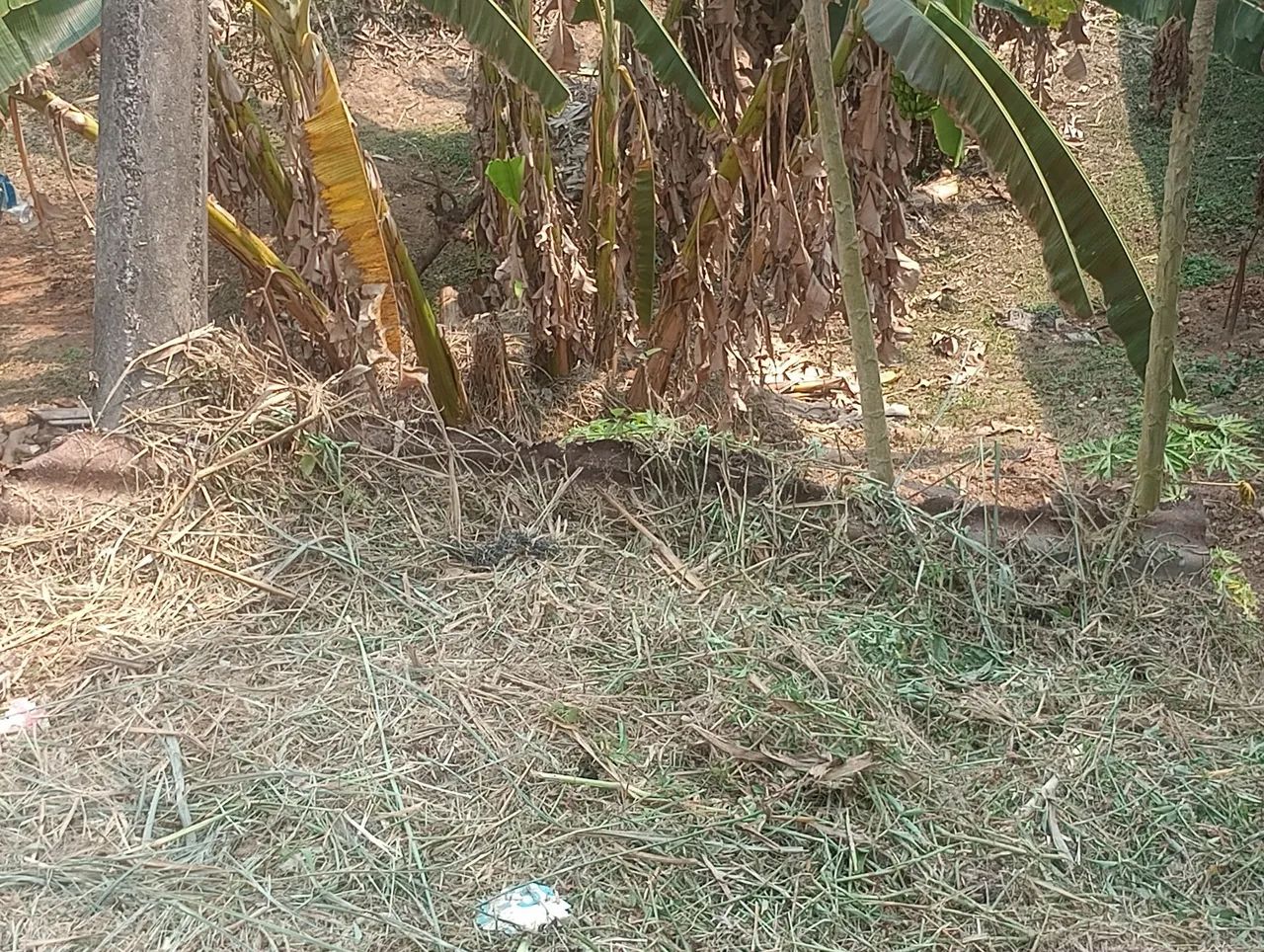 foto - Volta Redonda - Água Limpa