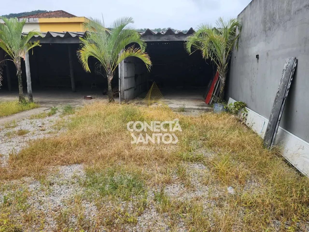 Loja de Rua no Japuí, São Vicente, Cod: 719 - Foto 4