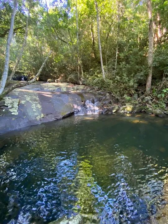 Lindo sítio ( 50m asfalto)com  cachoeiras em Vargem Grande  - Foto 2