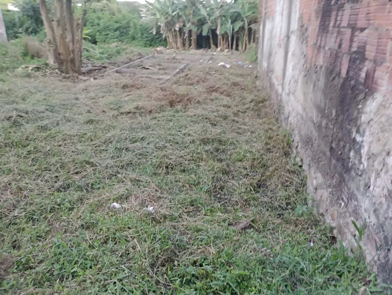 Terreno  - Foto 3