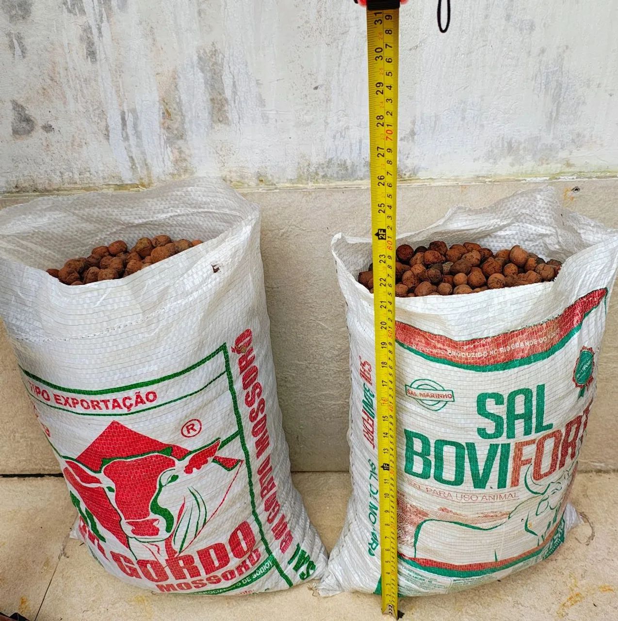 Argila Expandida - Foto 2