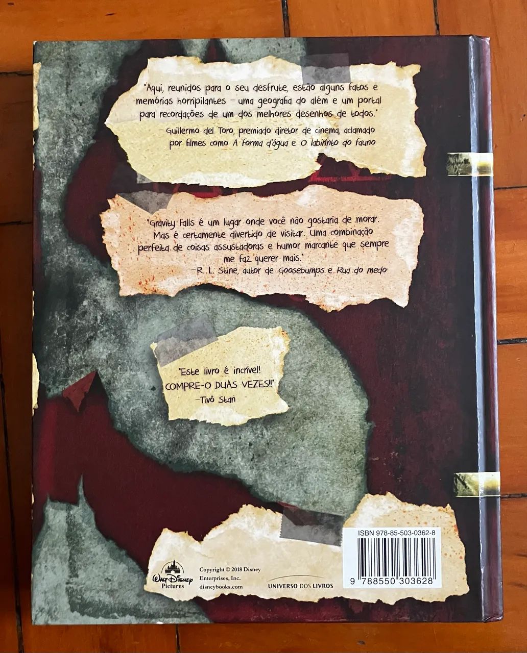 O diário perdido 3 - gravity falls - Foto 3