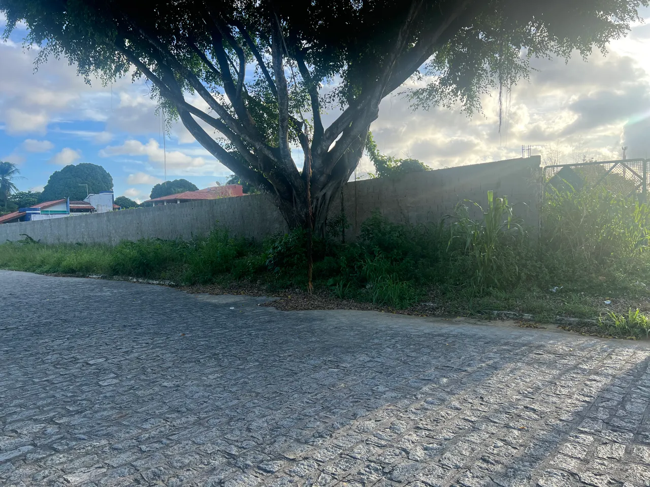 Terreno Comercial para aluguel no Barro Duro - Maceió - AL