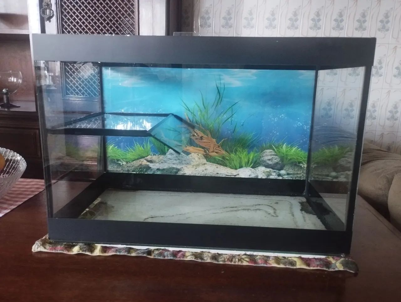 Aquário com terrário para tartaruga 34 Litros 