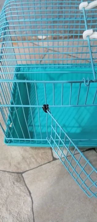 Gaiola para Roedores Azul - Foto 3