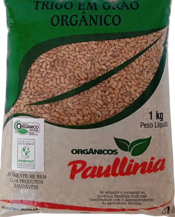 Trigo em Grão Orgânico Paullinia 1kg