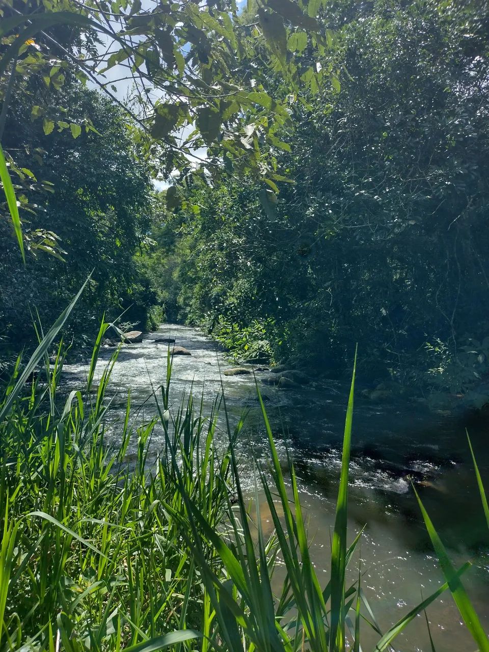 Terreno rural beira rio - Foto 3