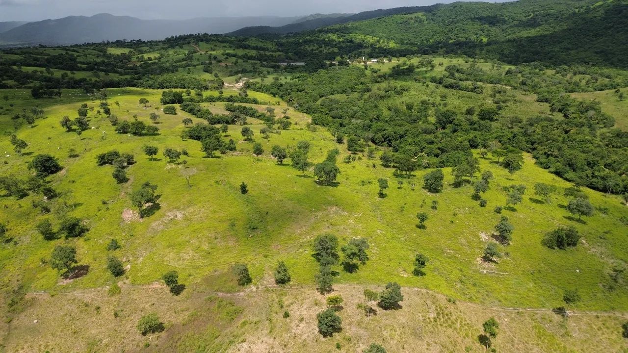 Vendo Fazenda  - Foto 2