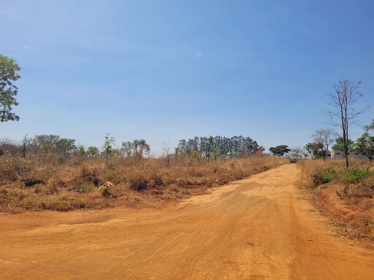 Área 1 quadra atrás da Br-153, bom para Galpão. - Foto 10