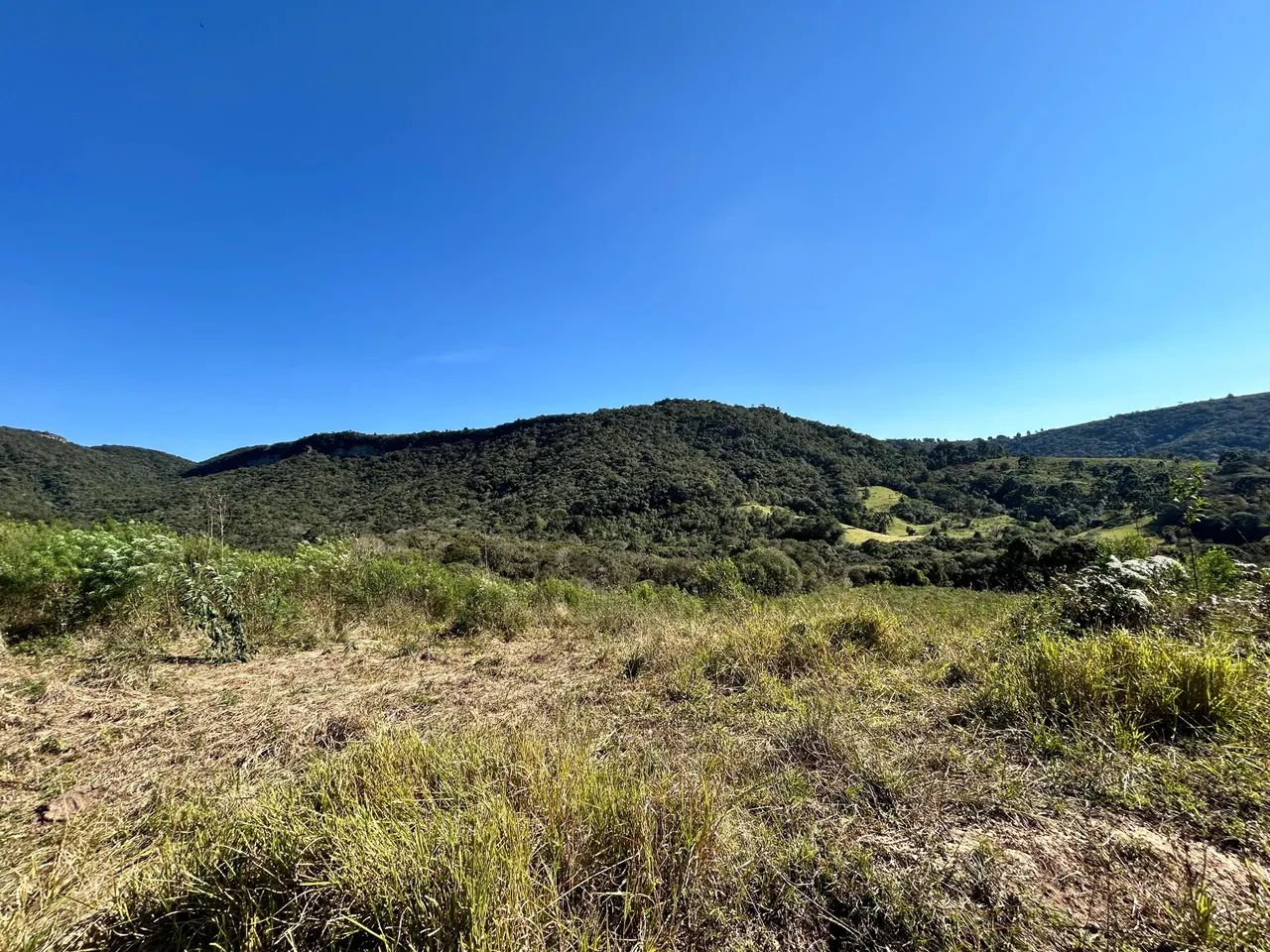 Lote de Frente para a Estada da Laje com 86m de testada. - Foto 5