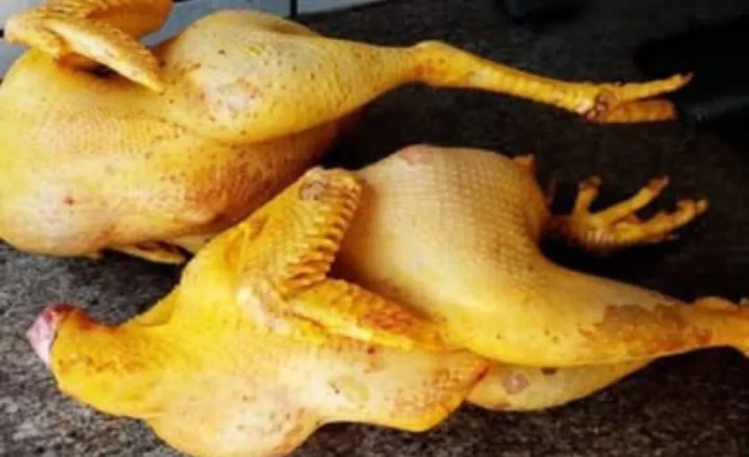 Galinha Caipira Fresquinha - Pronta para o seu pedido! - Foto 2