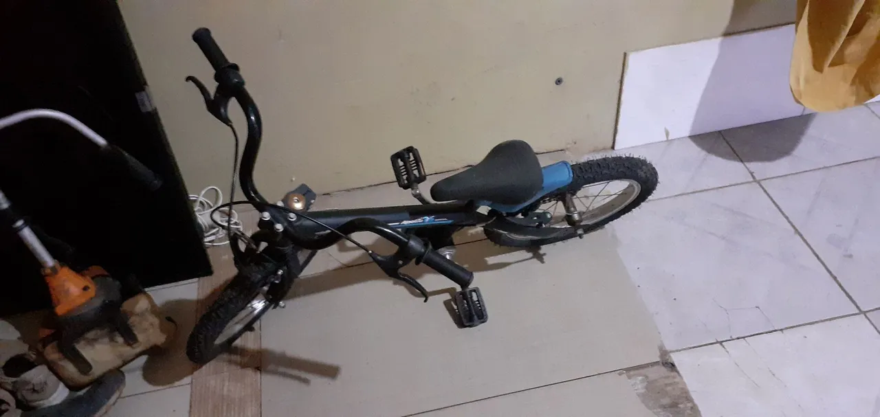 Bicicleta Infantil