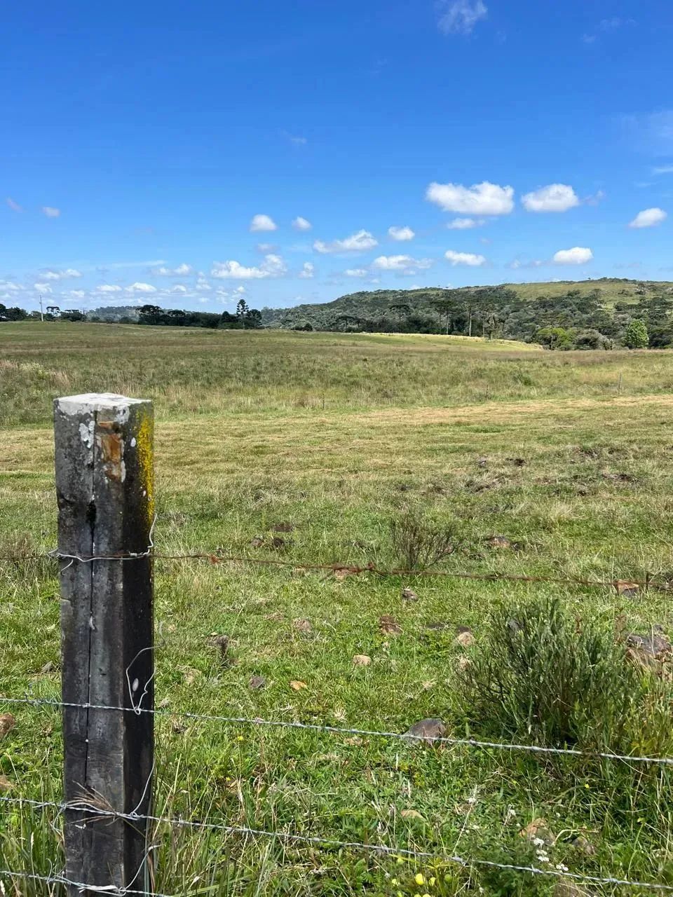 Terreno com ótimo acesso, energia elétrica instalada e desconto de 15% à vista - Foto 2