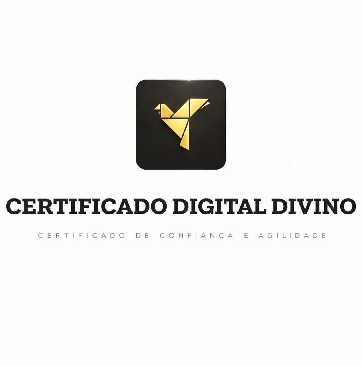 Certificado Digital Divino - Certificado Digital A1 CNPJ 