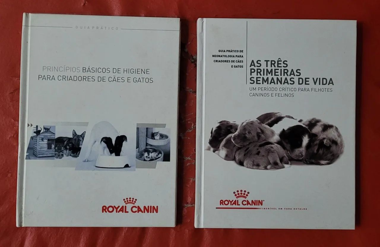 Criação e cuidados cachorros. 