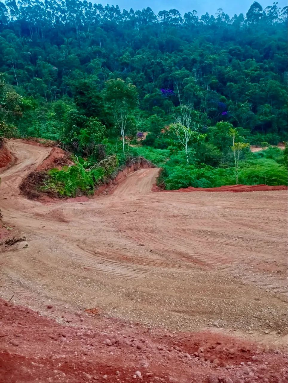Chácaras de 10.000 m2 (OPORTUNIDADE)!! - Foto 3
